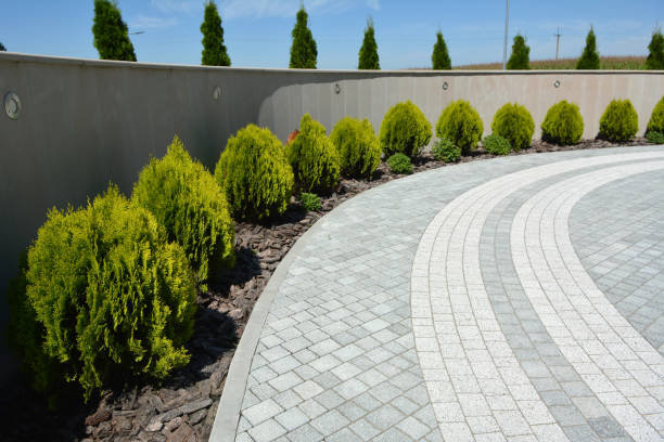 Reasons to Select Us for Your Driveway Paving Requirements in Brewster Hill, NY